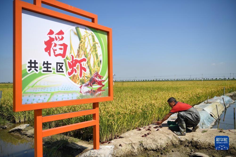 蒙特卡罗平台